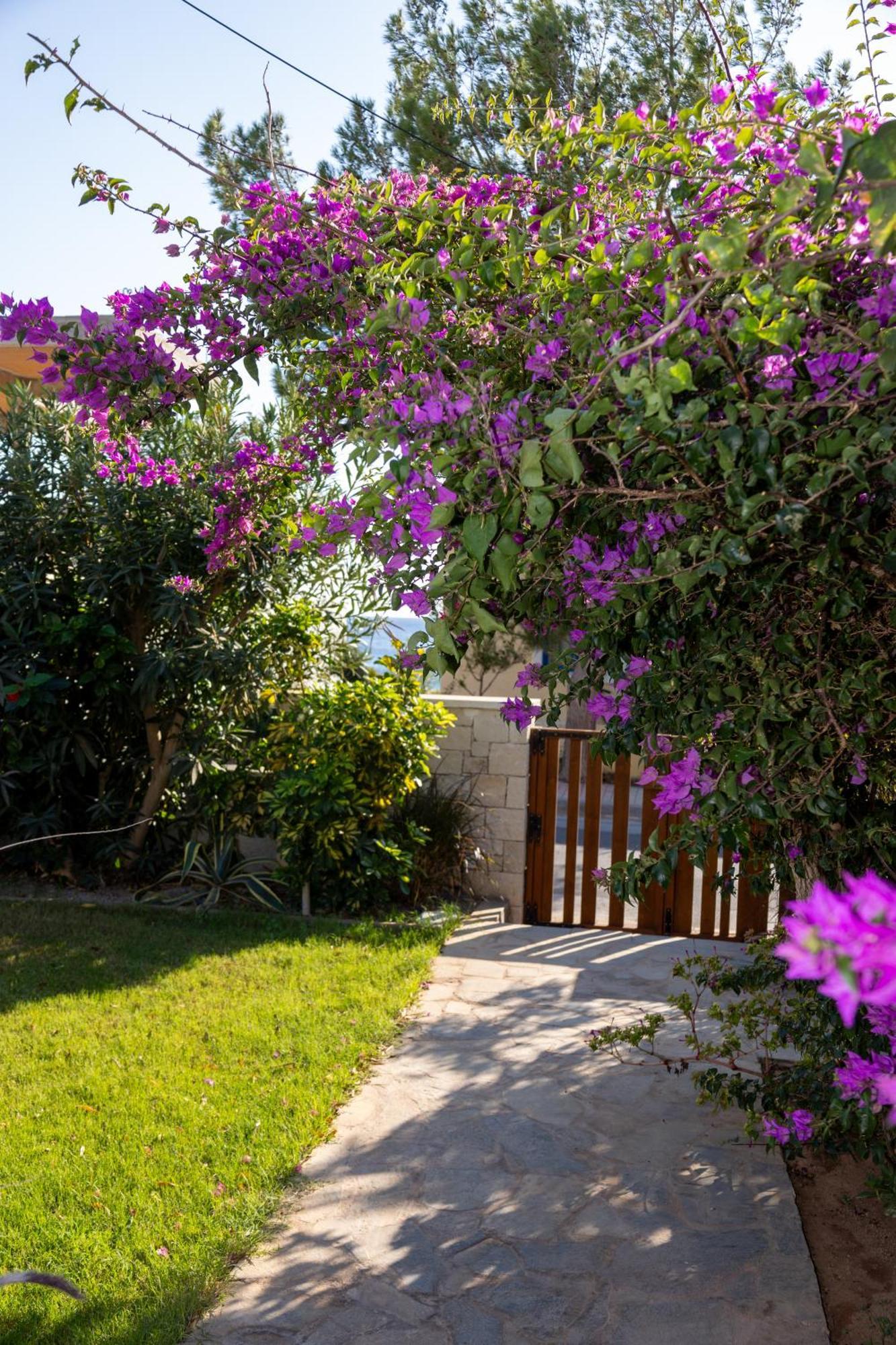 Okeanis Mystique South Aparthotel Ierapetra  Exterior photo