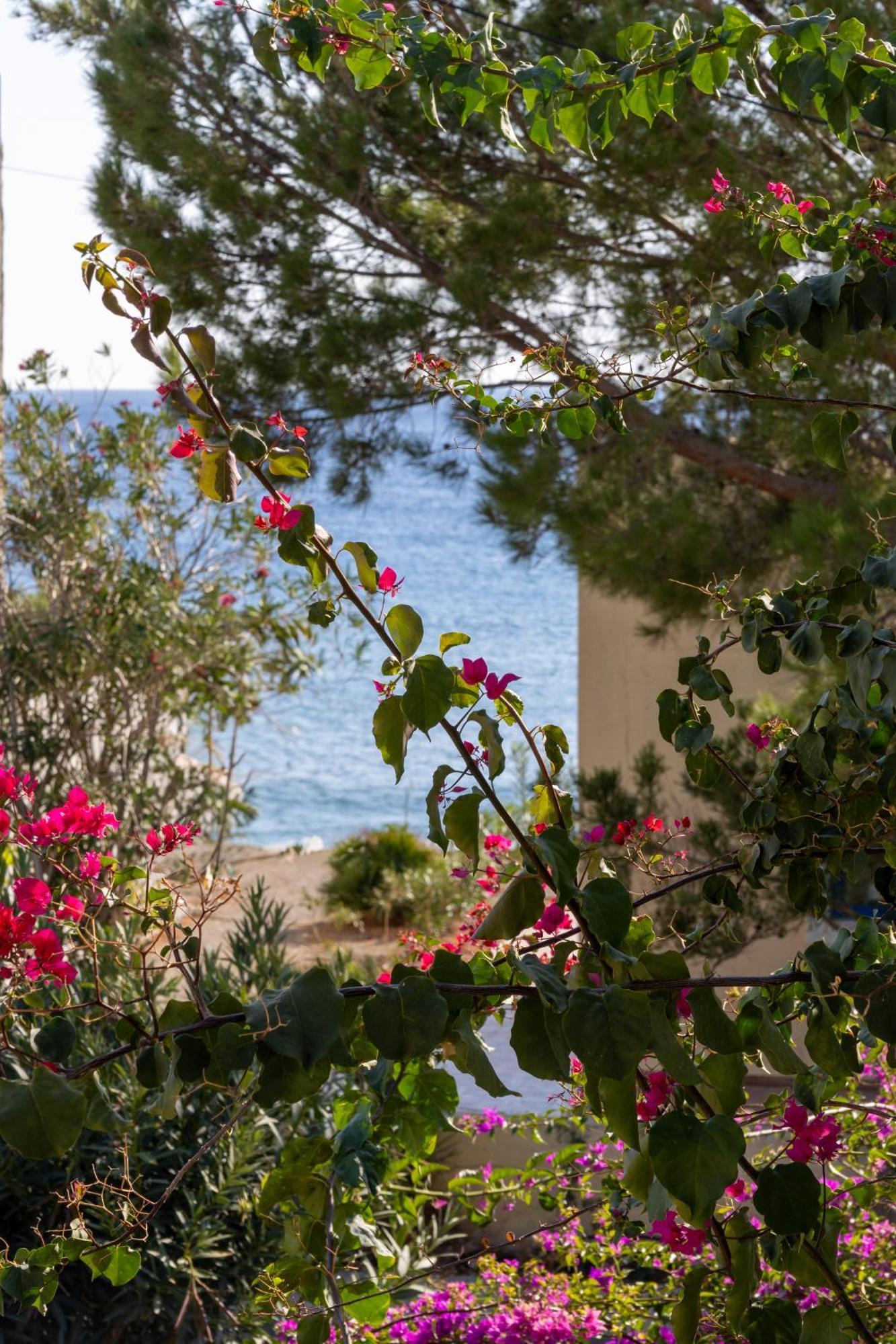 Okeanis Mystique South Aparthotel Ierapetra  Exterior photo